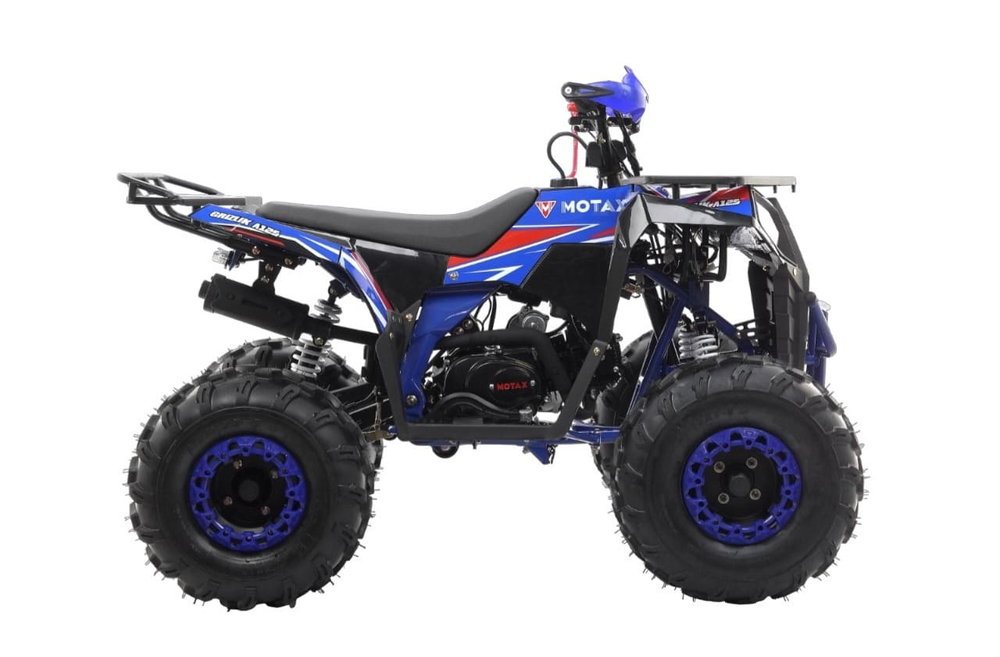 Квадроцикл MOTAX Grizlik A125