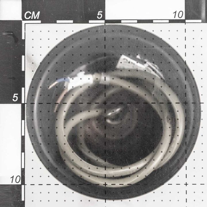 Подвесной светильник Citilux Версаль CL408113