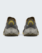Кроссовки для бега The North Face ALTAMESA 500 V2 Caraway Seed/Soapstone