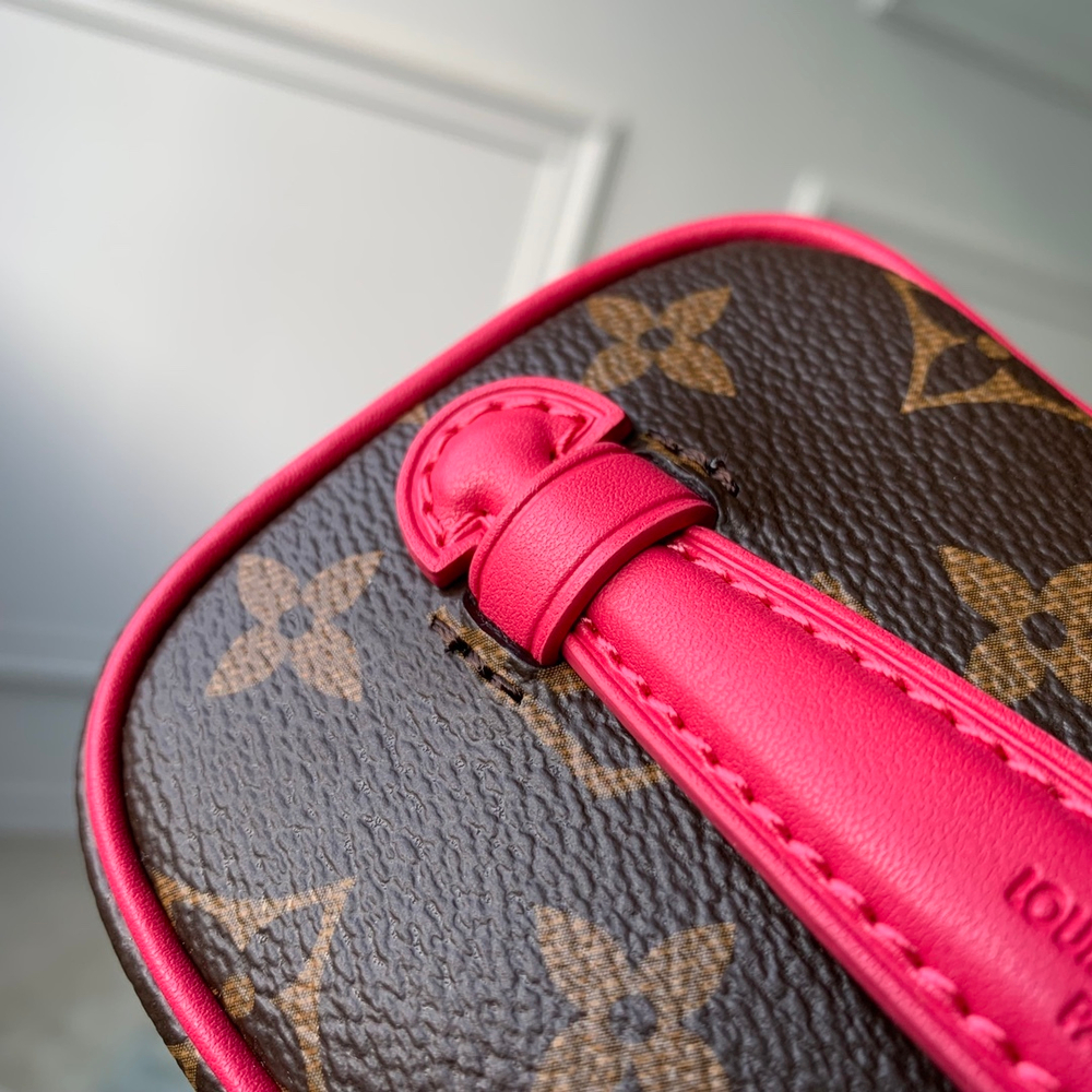 Louis Vuitton Nice Nano Toiletry Pouch