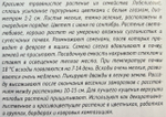 Лобелия Розамунда 0,01 г СМЦ-21