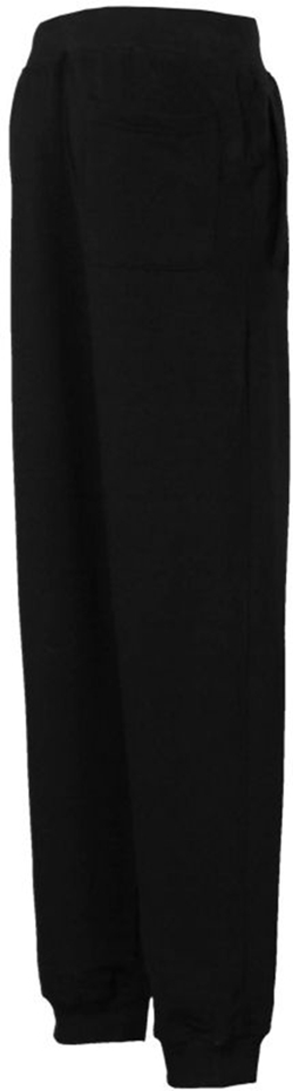 Мужские штаны теннисные Fila Sweatpant Rocky - black