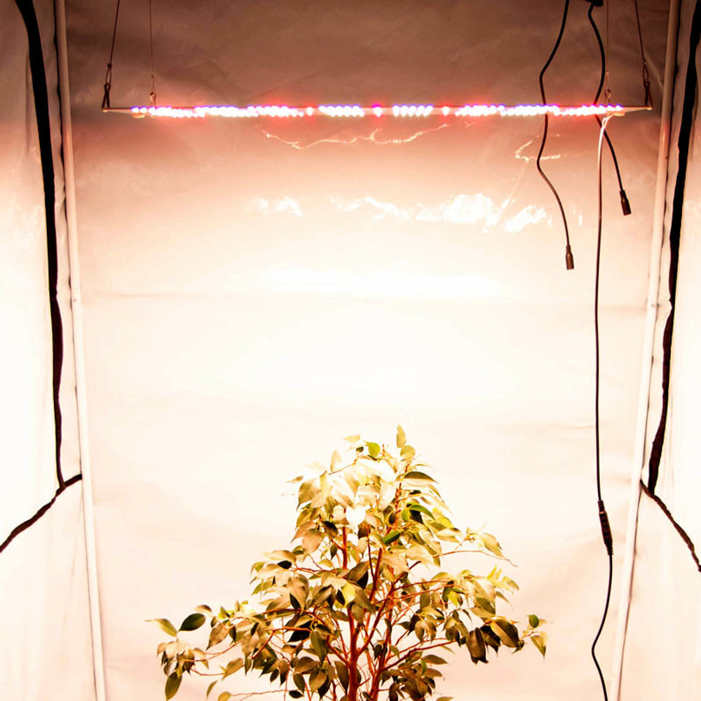 Quantum board Samsung 120 W / 58x28 см