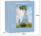 Hədiyyə paketi\ подарочный пакет \  gift bag Sunny
