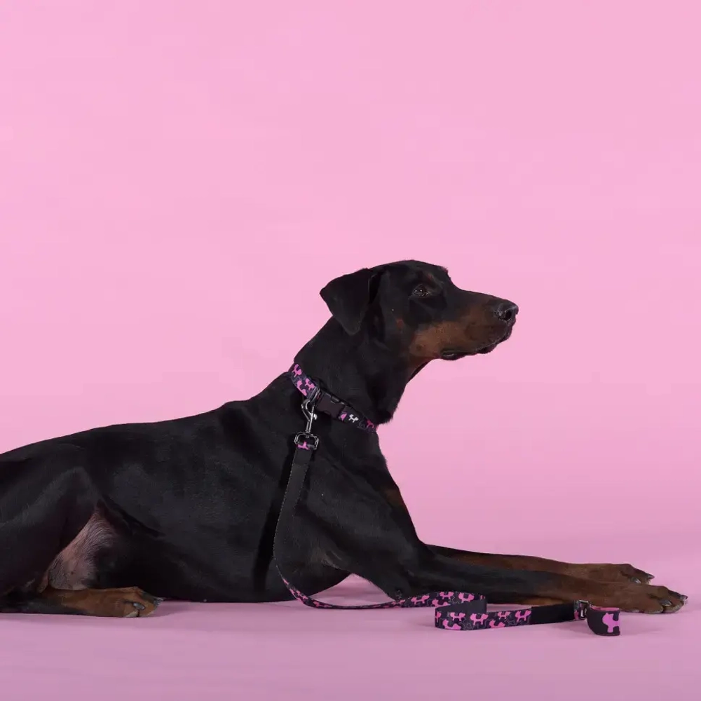 United pets complete me identity ошейник для собак, l 43-73/2,5 см, черный с розовым
