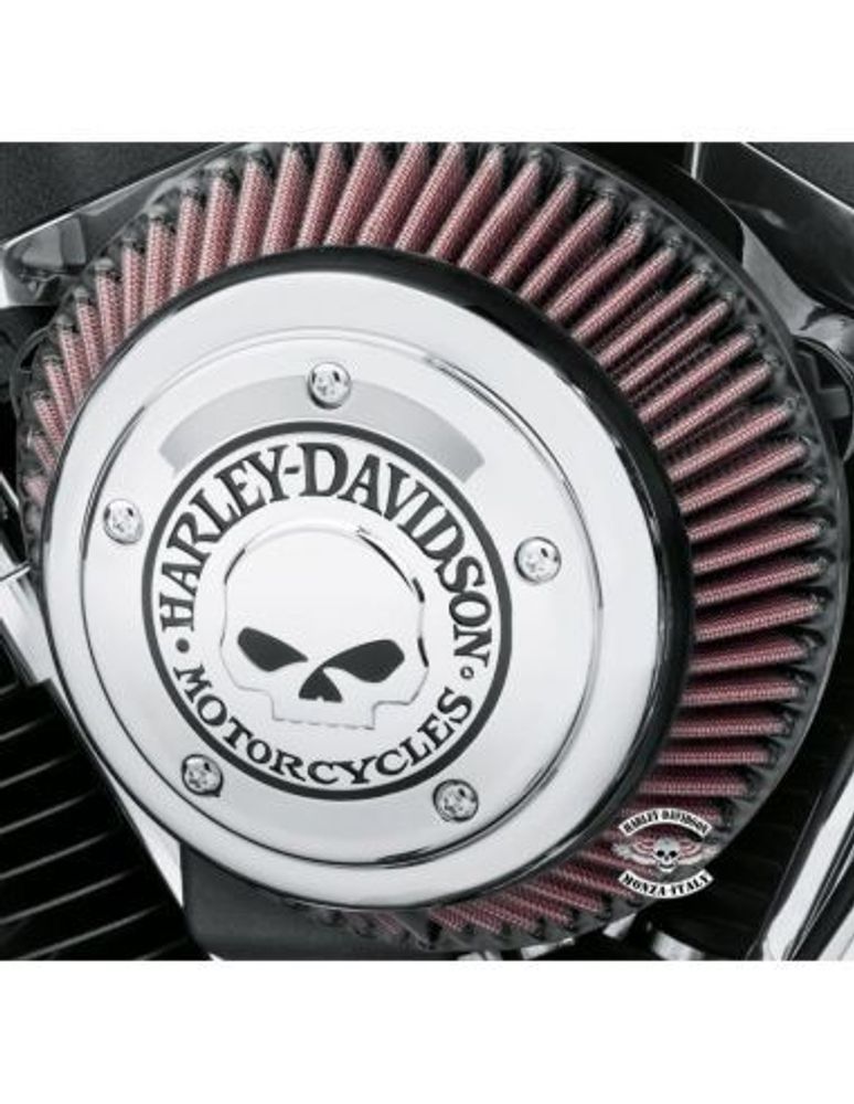 29400345 Декоративная вставка в крышку воздушного фильтра Harley-Davidson