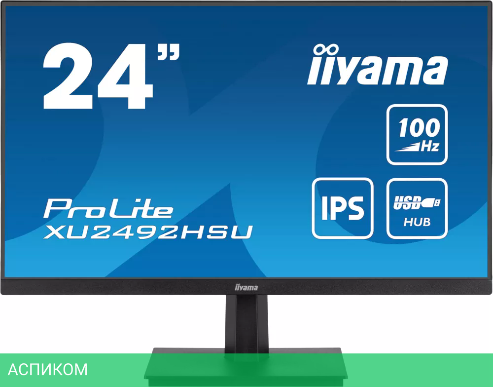 Монитор Iiyama ProLite XU2492HSU-B6