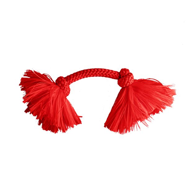 Жевательный канат Playology DRI-TECH ROPE для собак мелких пород с ароматом говядины, маленький, цвет красный