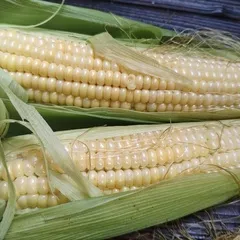 Кукуруза деревенская / 1 початок Кукуруза деревенская / 1 початок