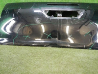 DSCN8781.jpg