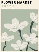 Набор постеров 50х70 Матис бабочки арт 170735589 ТТН 246259129