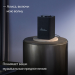 Умная колонка ЯНДЕКС Станция Макс Zigbee, 65Вт, с Алисой на YaGPT, графитовый