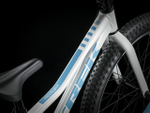 Детский велосипед Trek Precaliber 20 CST G S (2020)