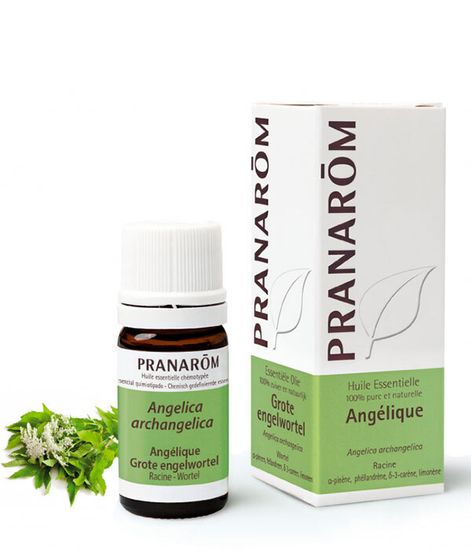 Натуральное эфирное масло Дягиль, Pranarom