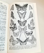 Dictionnaire francais illustre: Lettres ornees de Claudel: Parties grammaticale, historique, geographique (Иллюстрированный французский словарь: витиеватые письма Клоделя: грамматическая, историческая, географическая части), A.Rozoy, Mayer Roger