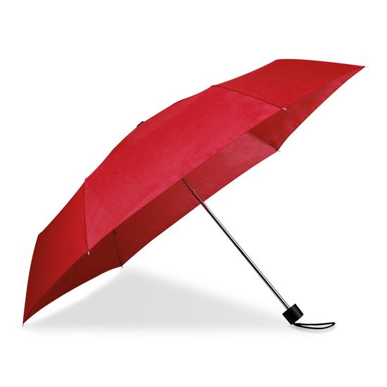 11029 Сложный зонтик