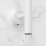 Сунержа Аскет 1650