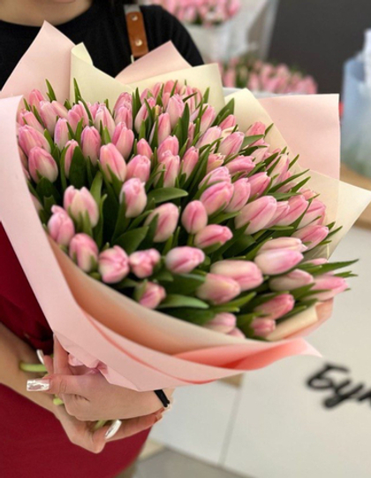 Букет из 75 розово-белых тюльпанов