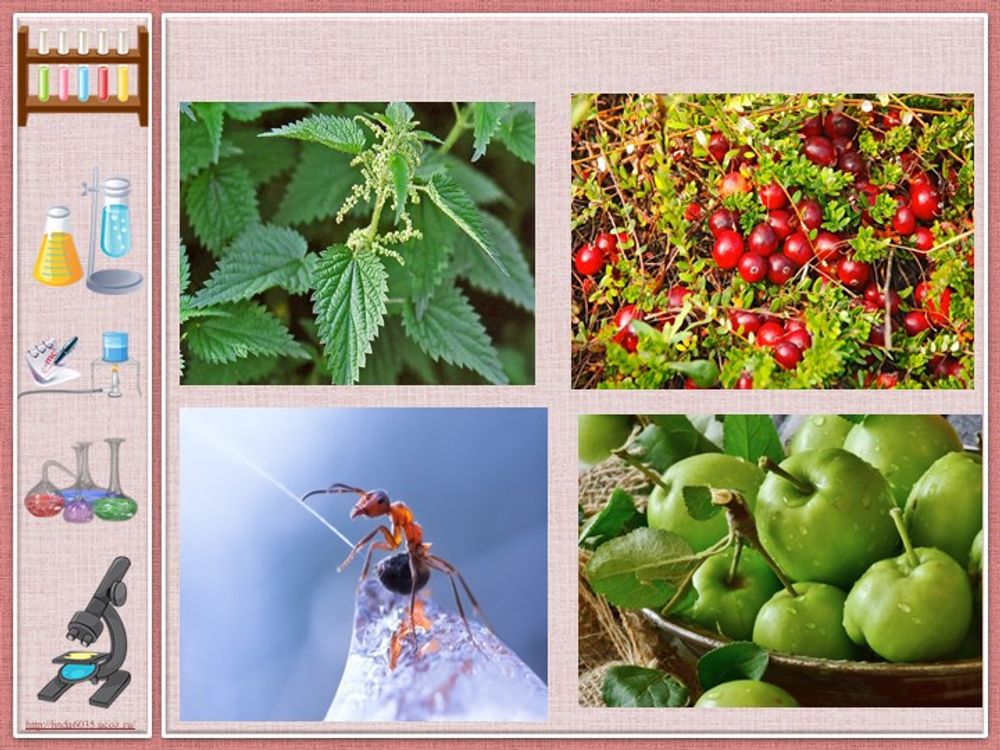 Таблицы Белки и нуклеиновые кислоты  (8 табл.) — купить по ФГОС | Учебный стандарт