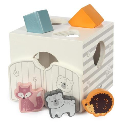 Сортер "Домик" коробка 44052 (VIGA)