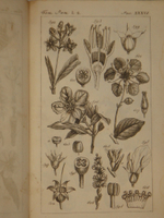 "Основание ботаники и физиологии растений. В 2-х частях". Сочинение А.Ришара. 1837г.