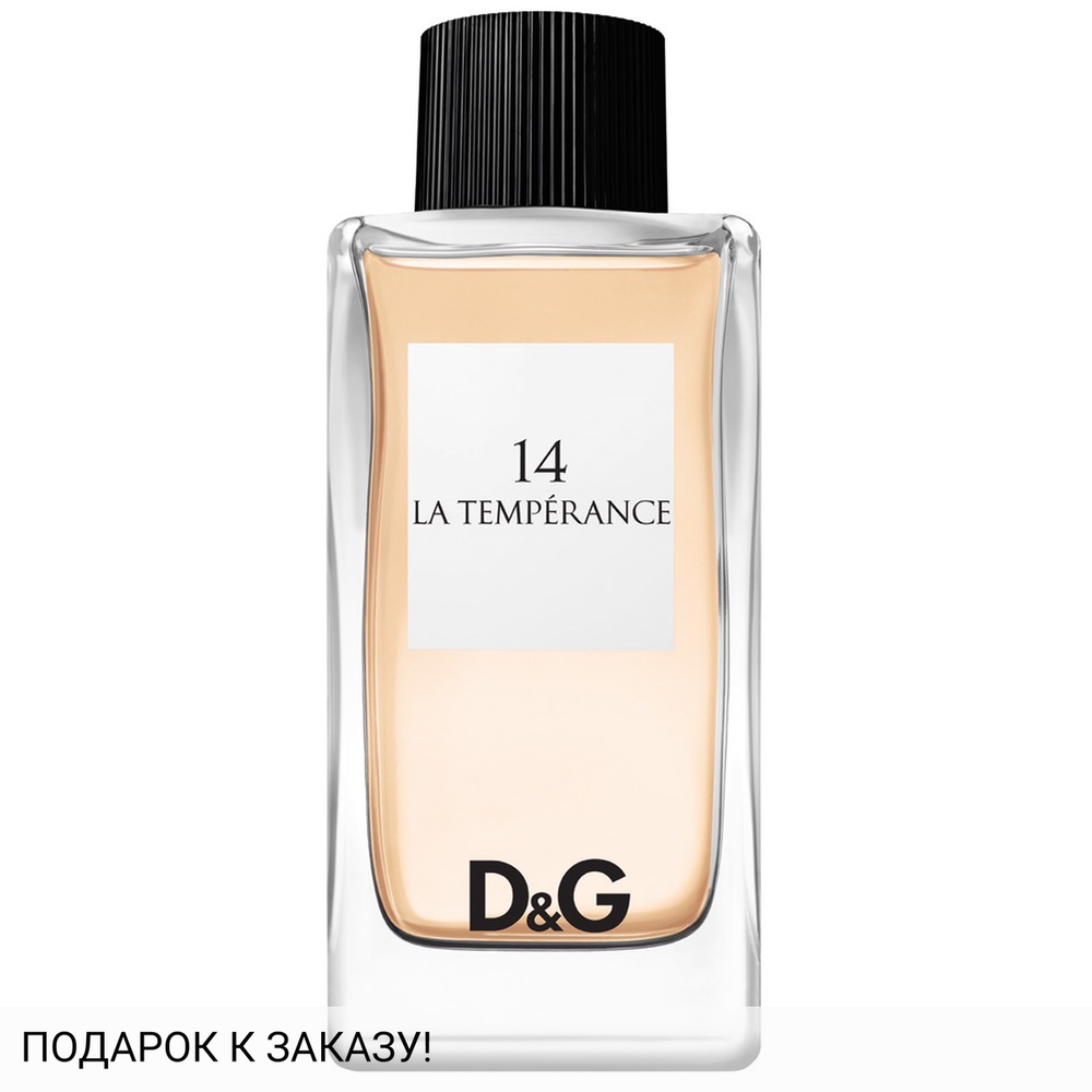 Dolce and Gabbana La Temperance 14