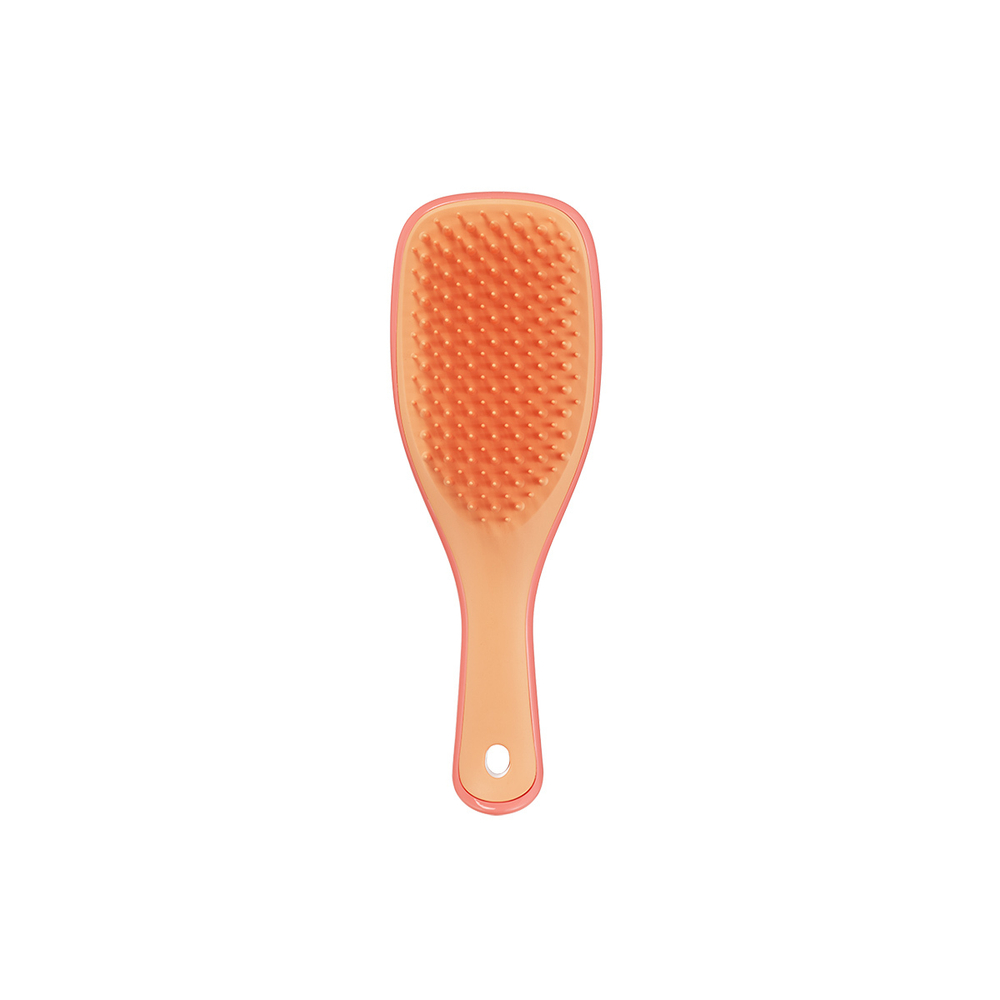 Расческа Tangle Teezer The Ultimate (Wet) Detangler Mini Salmon Pink & Apricot