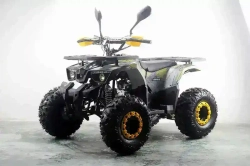 Квадроцикл MOTAX ATV Grizlik Premium 125cc