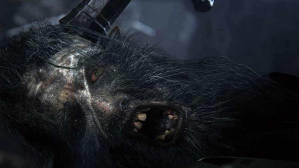 Bloodborne (Хиты PlayStation) (диск для PS4, интерфейс и субтитры на русском языке)