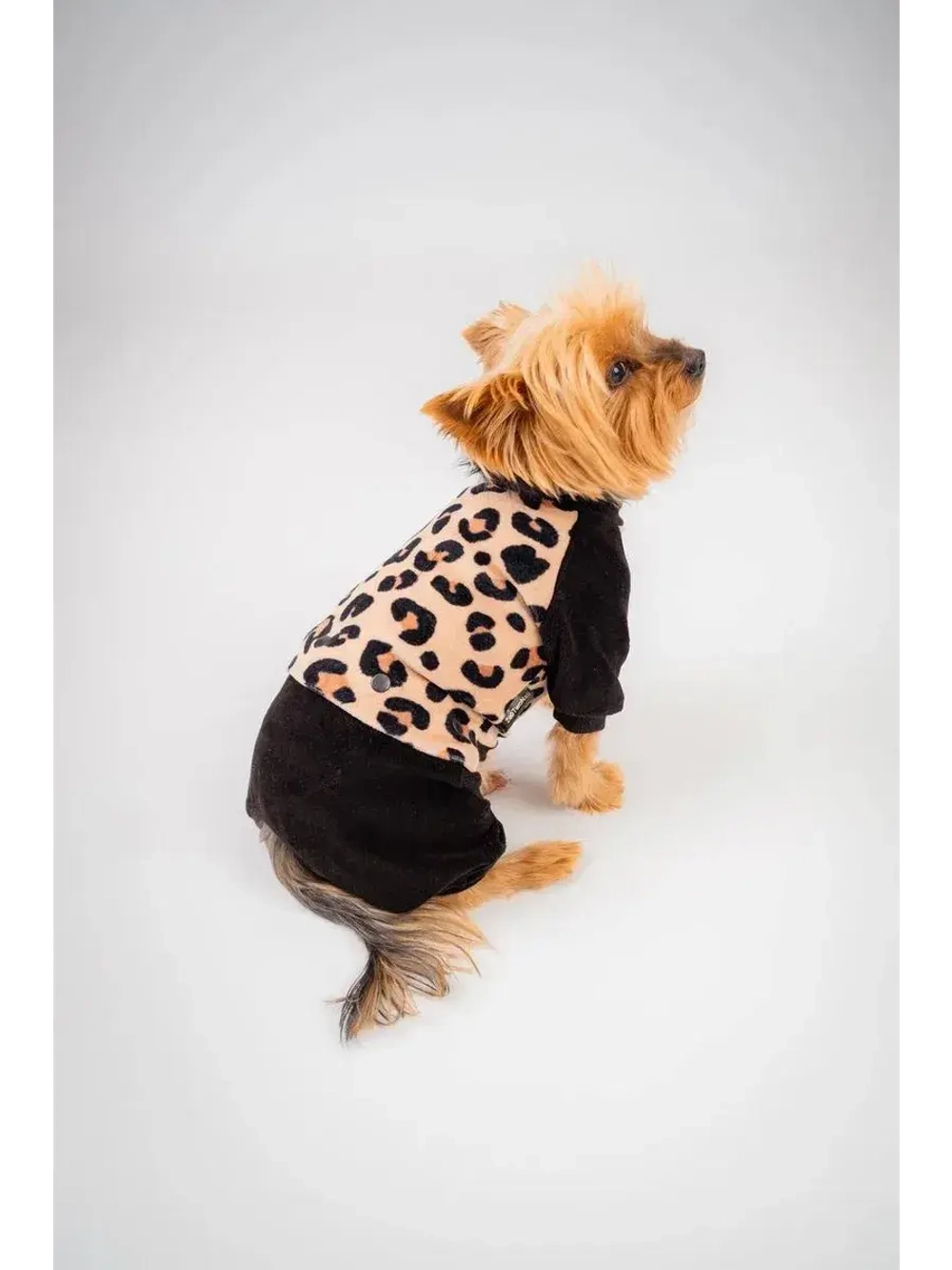 Комбинезон костюм для собак и кошек