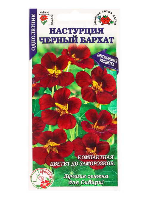 Настурция «Черный бархат», 0.5 г