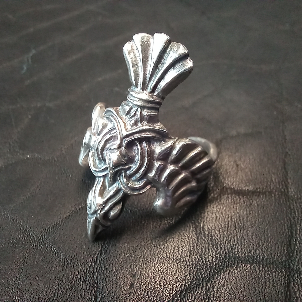 Кольцо. Ворон