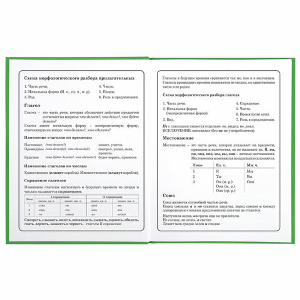 Дневник 1-4 класс 48 л., твердый, BRAUBERG, глянцевая ламинация, с подсказом, "Авокадики", 106359