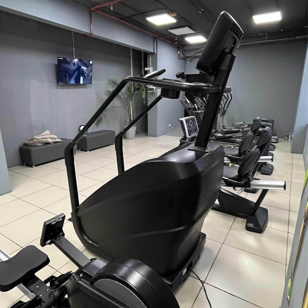 Тренажер-лестница TANGEN D8900