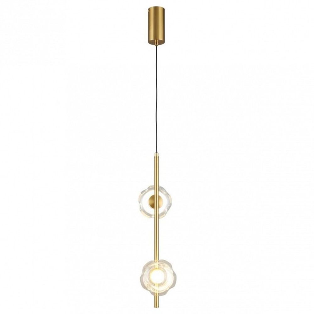 Подвесной светильник Aployt Tereze APL.074.06.02