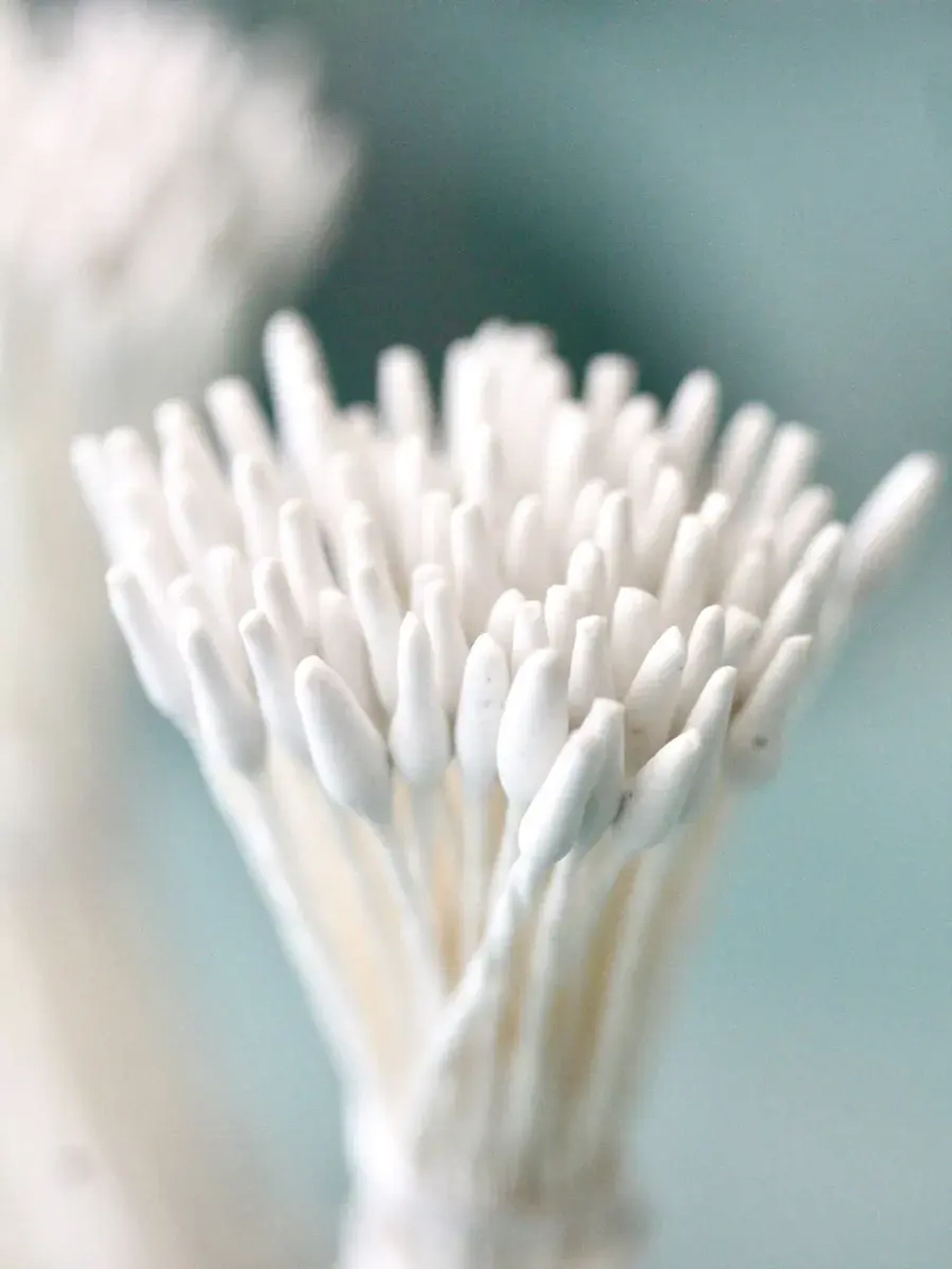 Тычинки заостренные белые для Эвкалипта, Вероники и пр. (2 пучка)