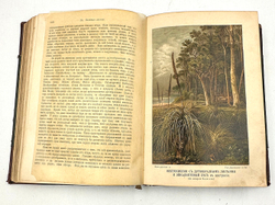 Кернер А. Жизнь растений, в 2-х т., СПб., Просвещение, 1901-1903г.