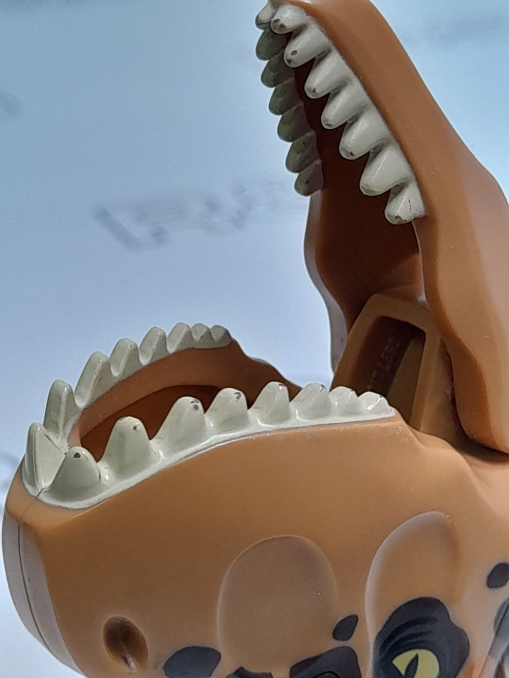 USED Карнотавр carn01