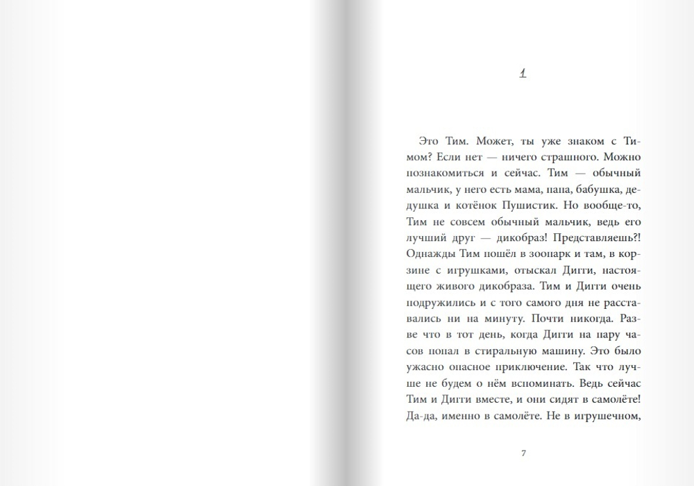 Тим и Дигги на каникулах