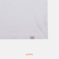  Футболка мужская Dickies Plentywood артикул:DK0A866BD061 - купить в магазине Дайс