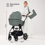 Детская коляска Rant Teo Soft 3 в 1 с автокреслом Evomax Black Olive