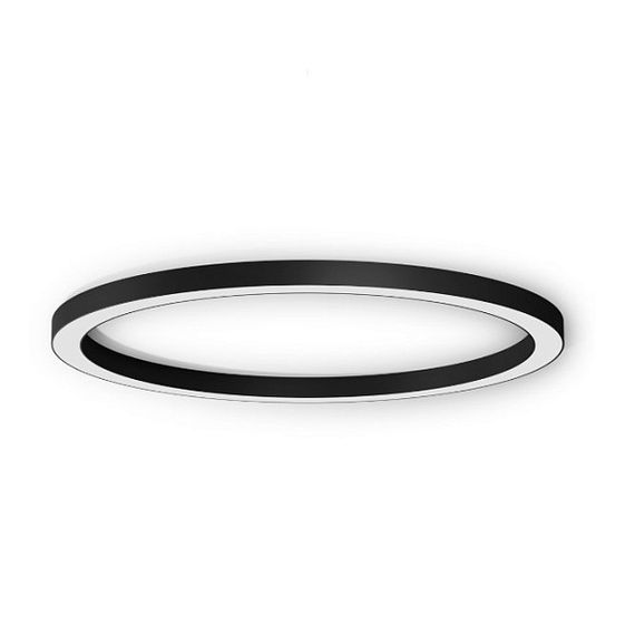 Настенно-потолочный светильник Panzeri Rings Collection P08202.120.0402 Silver ring black (Италия)