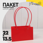 Пакет подарочный 22х13,5х10,5 Ваза для цветов (Красный)