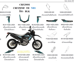 86611-KZZ-L31LA. STRIPE, FR. VISOR