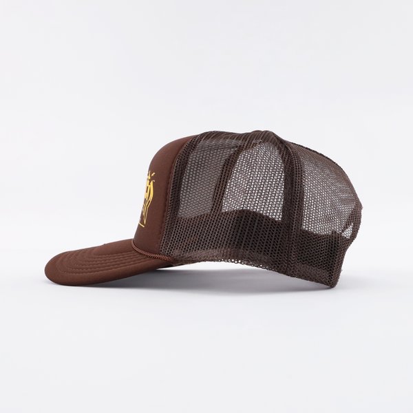 Кепка Thrasher Pigeon Mag Trucker Cap (brown) артикул: - купить в магазине Дайс