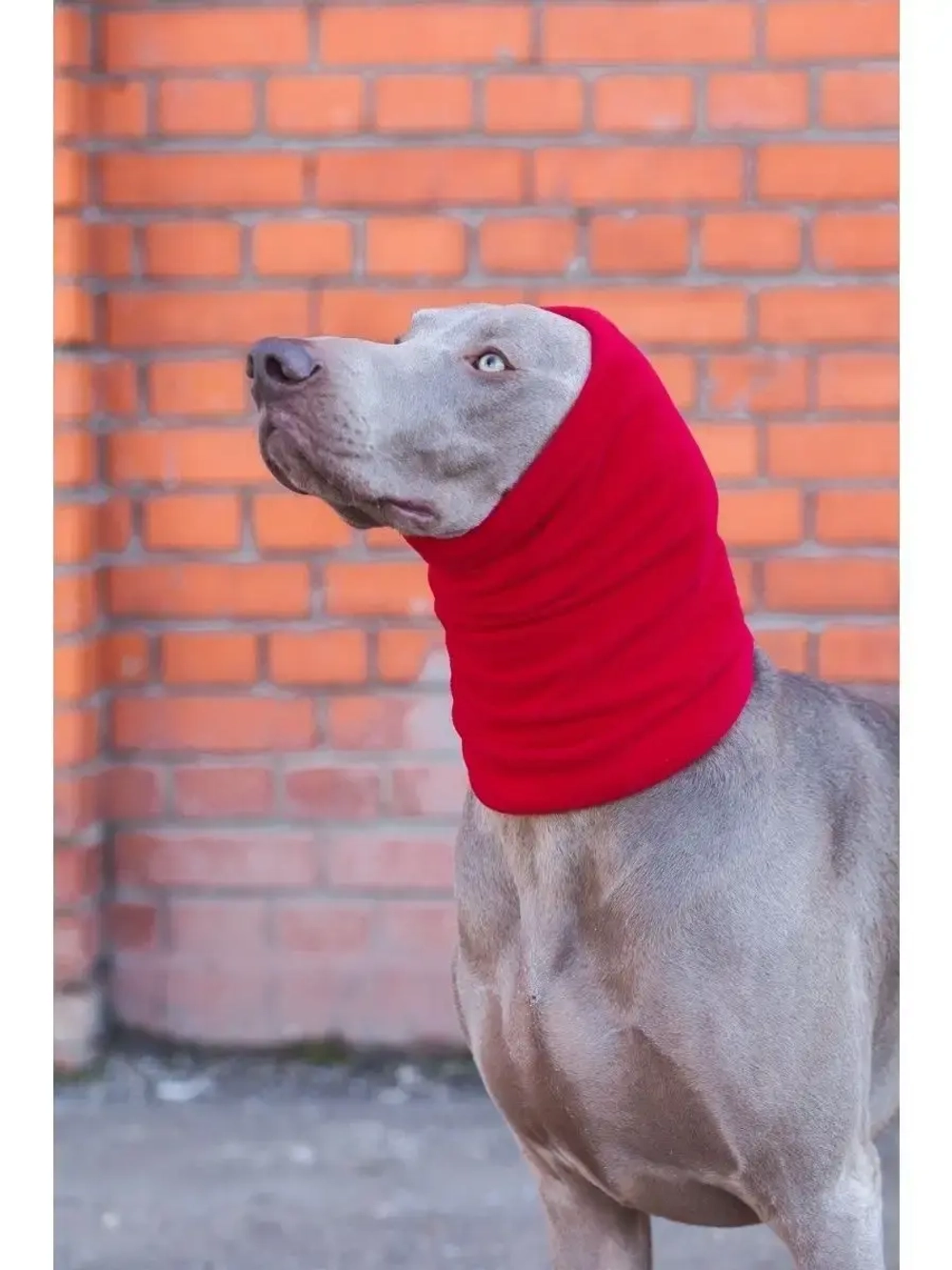 Снуды для собак флисовый шарф шапка для животных