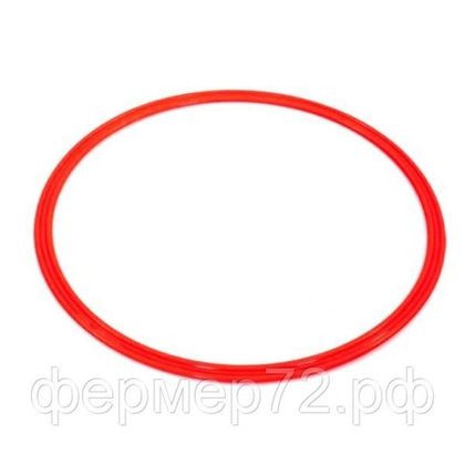 Прокладка силиконовая для автоклава Малиновка