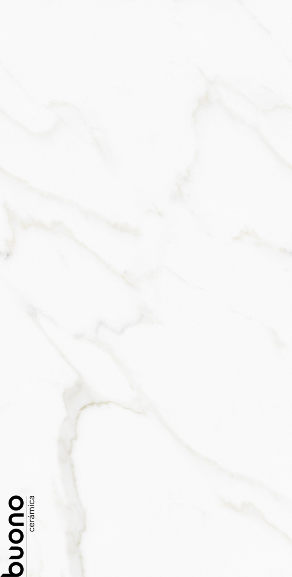Керамогранит Buono Ceramica M4408P 1200*600*8,5мм  Omega Exotica Glossy