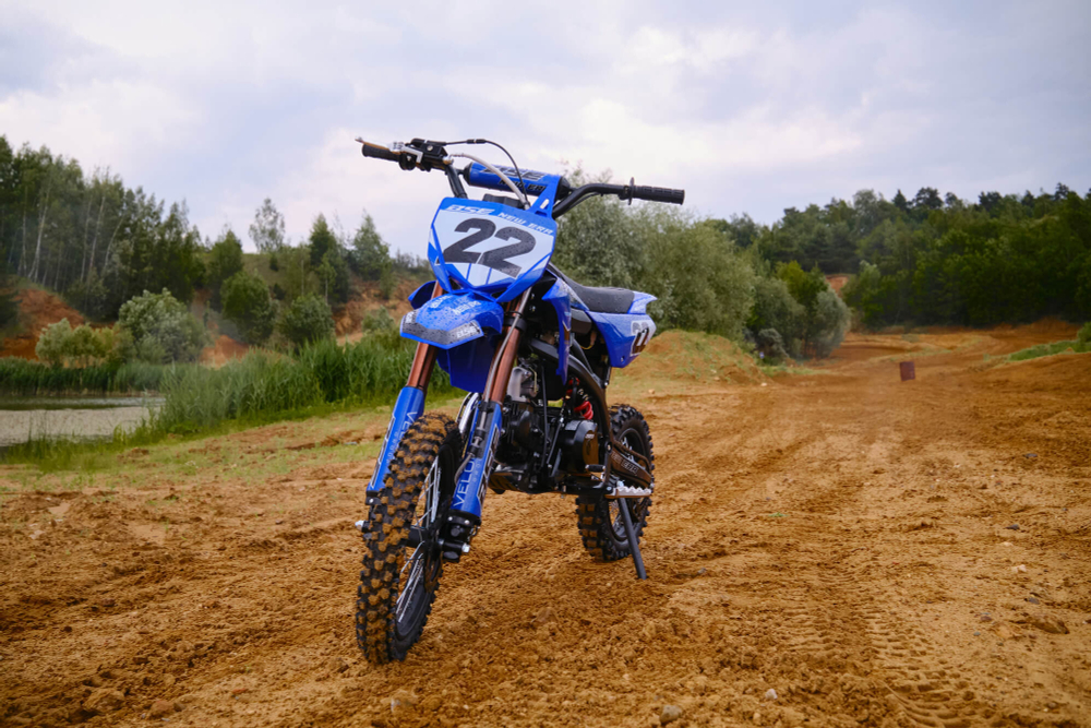 NEW ERA Blue Reed Auto