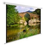 Экран  Cactus CS-PSWE-220X165-WT